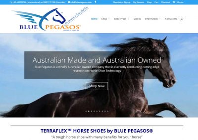 Blue Pegasos Horse Shoes